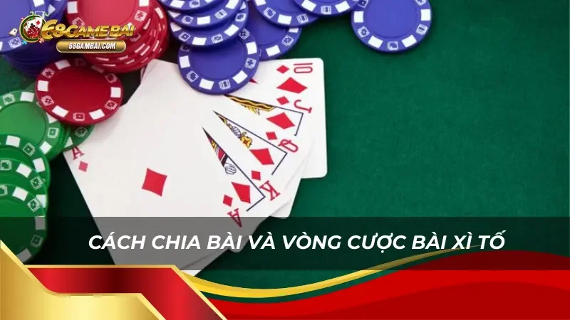 Khám phá cách chia bài và các vòng cược bài Xì tố